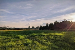 IMG_20200819_185241-EFFECTS